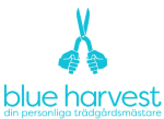 Blue+Harvest+AB