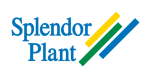Splendor+Plant+AB