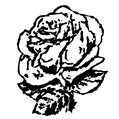 VUGGESTUEN+RØDE+ROSE+1