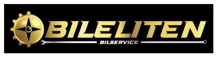 Bileliten+i+Tyresö+AB
